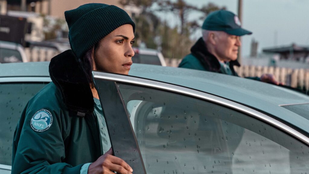 Hightown Season 3 Hightown Season 3: Release Date, Cast, Potential Plot, and Everything You Need to Know